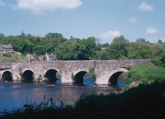 Teifi Bridge Llechryd
